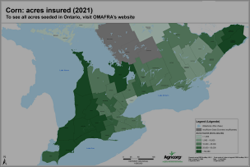 Corn: acres insured (2021)