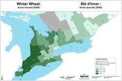 Winter wheat insured acres