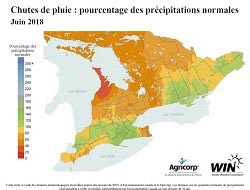 Chutes de pluie : pourcentage des précipitations normales