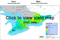 2015 corn yields