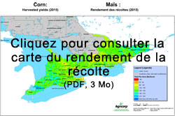 Rendements du maïs en 2015