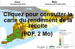 Rendements du maïs en 2016 