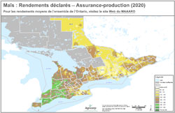 Rendements du maïs 2020