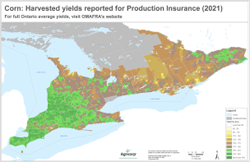 Corn: Harvested yields reported for Production Insurance (2021)