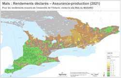 Maïs : Rendements declares - Assurance-production (2021)