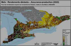 Maïs : 2022 Rendements déclarés