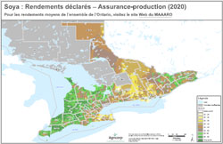 Rendements du soya 2020