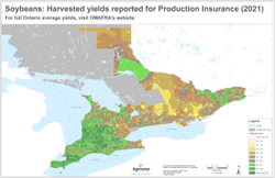 Soybeans: Harvested yields reported for Production Insurance (2021)