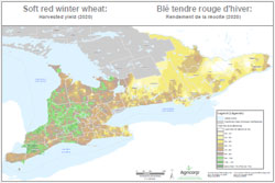 Rendements des récoltes de blé tendre rouge d'hiver pour 2020