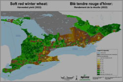 Soft red winter wheat: Harvested Yield (2022)