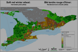 Blé tendre rouge d'hiver : Rendement de la récolte (2022)